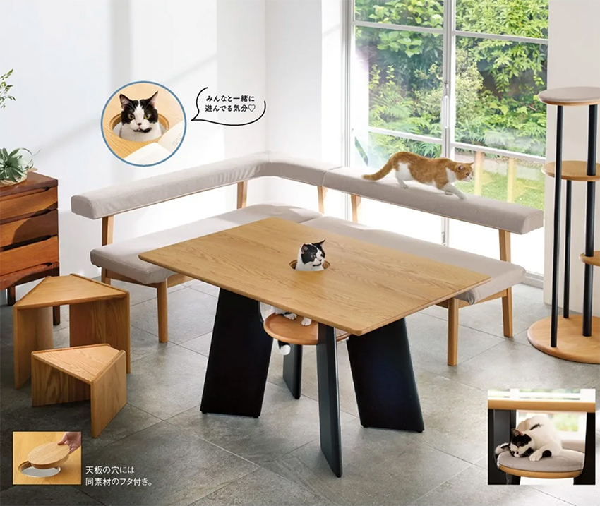 211113_cat_3 211113_cat_3